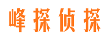 西湖市私家侦探